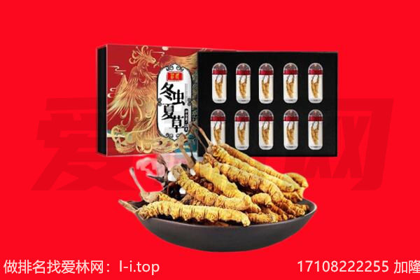 延安市富县回收虫草.jpg